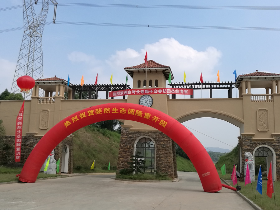 集团派员赴我省兄弟地市开展文化旅游节庆活动调研