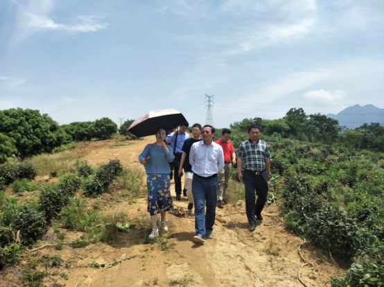 文旅集团赴庐山&middot;东林精舍实地考察