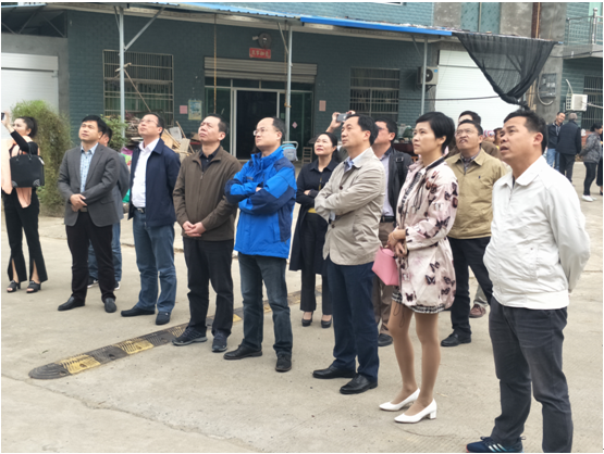 市文旅集团陪同省委宣传部、省旅游集团考察武宁旅游项目