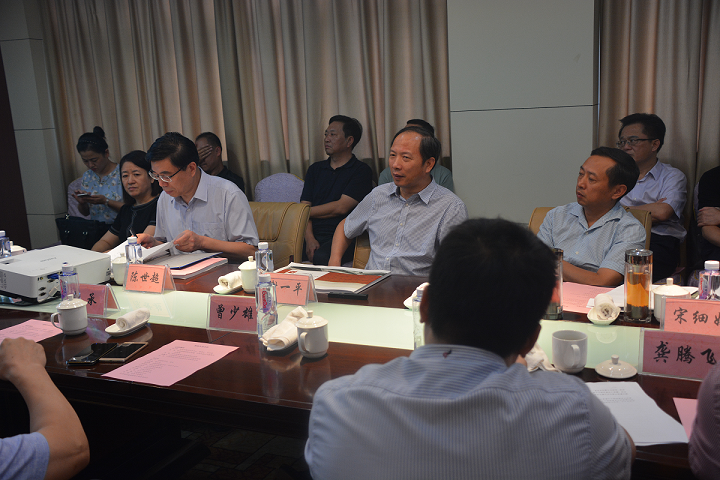 九江洋街西街项目策划方案汇报会