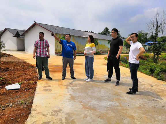 市文旅集团赴东升镇现场调研