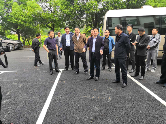 严盛平调研九江国际名茶名泉博览会场地桃花源景区项目工程建设推进情况