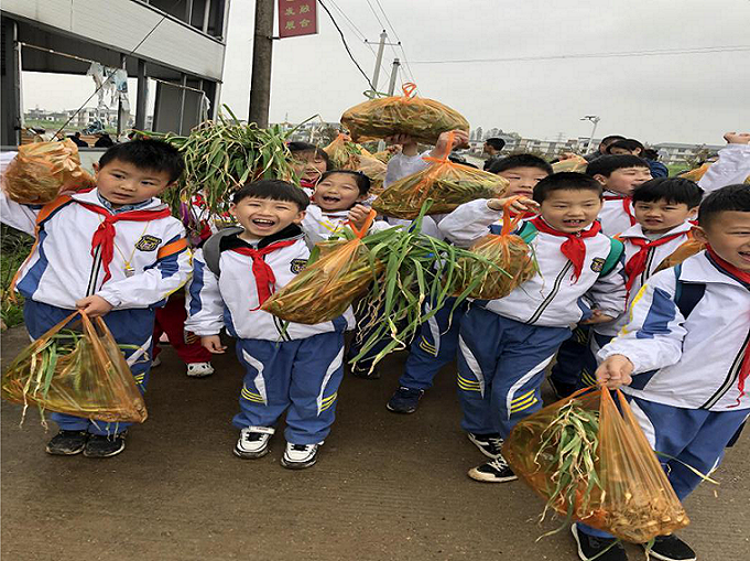 春研结束 夏令起航文旅研学遇见成长的契机