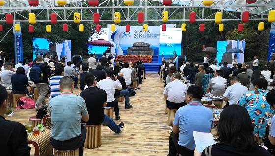 九江国际名茶名泉博览会&mdash;&mdash;名茶名泉 文化论坛在庐山天下第一泉举行