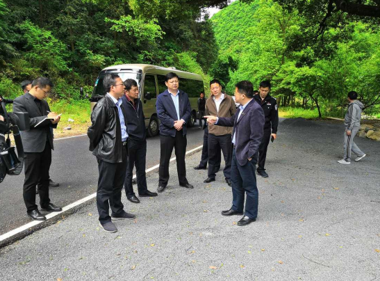 庐山市市长严盛平深入庐山桃花源景区调研