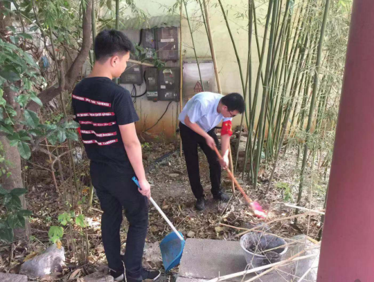 创卫我们在行动