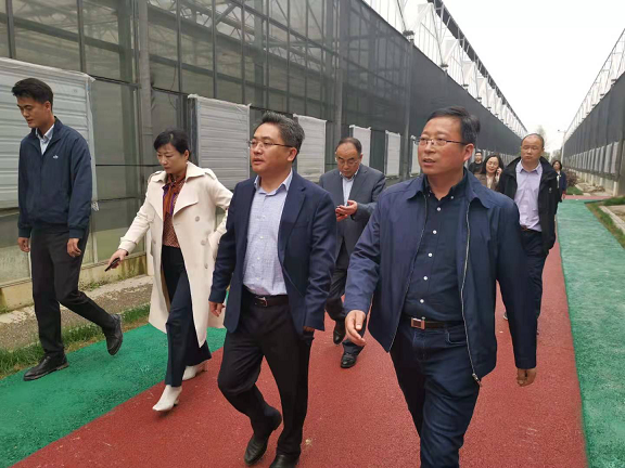 市文旅集团董事长王叙宇一行赴彭泽县考察调研