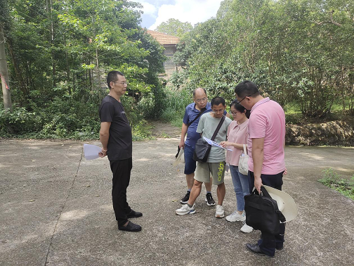 市文旅集团启动旗下森林资源合理开发与利用专项调研工作