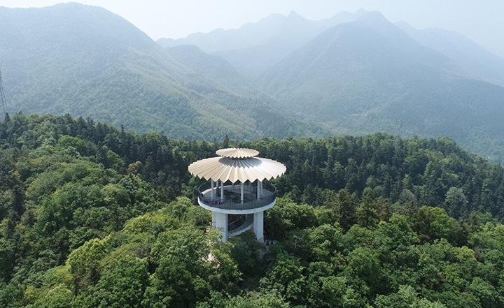 天花井森林公园