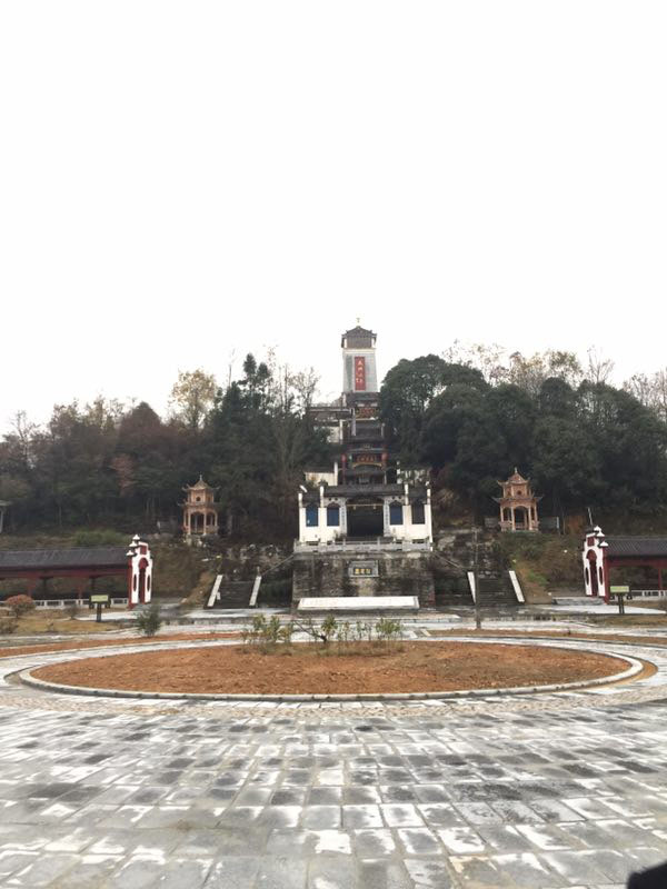 1487408902157883.jpg IMG_2773.JPG