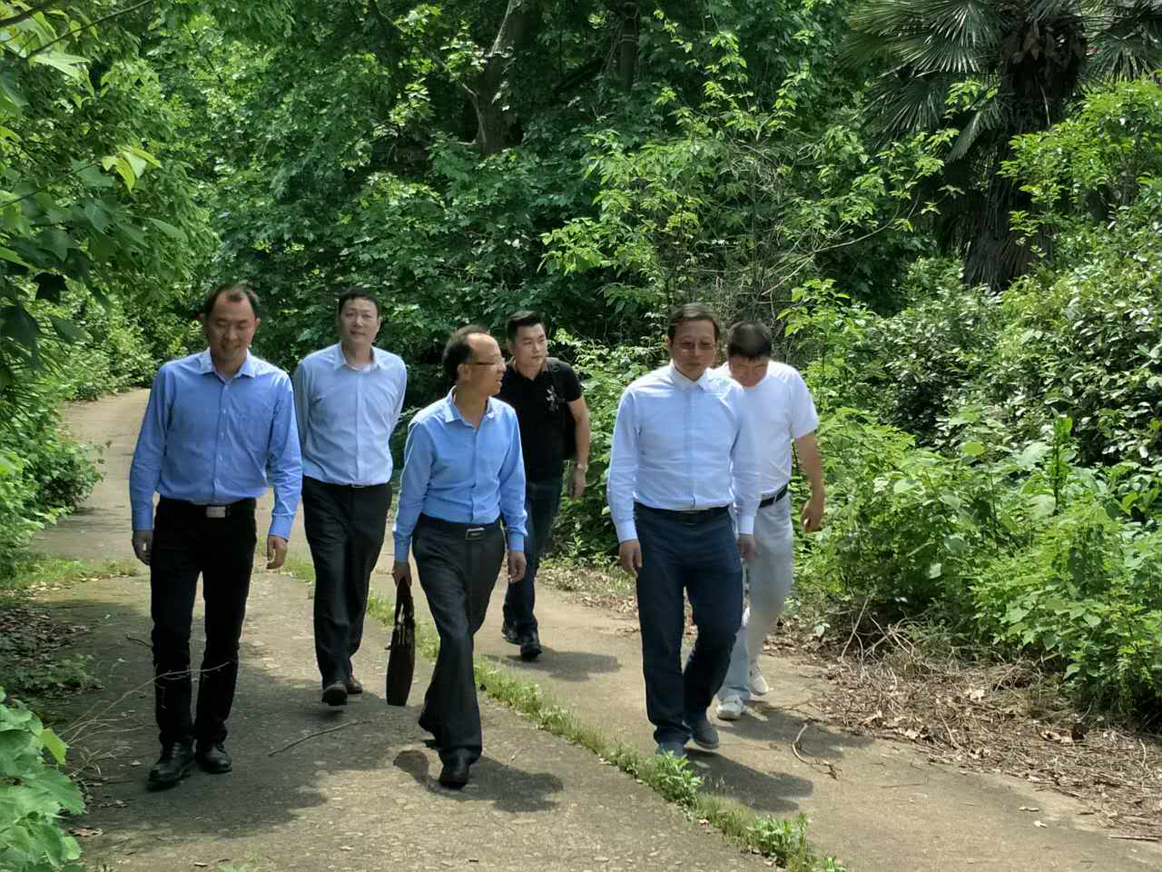 1495004575127597.png 图片1.png