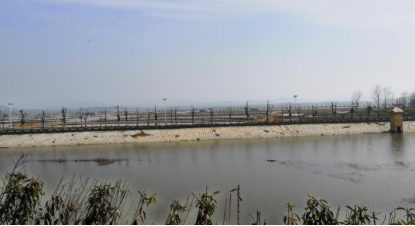 1551943787114968.png 图片2.png