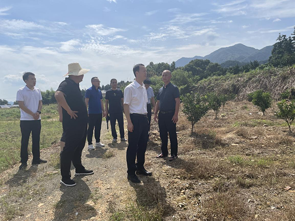 1720488067917179.png 图片3.png